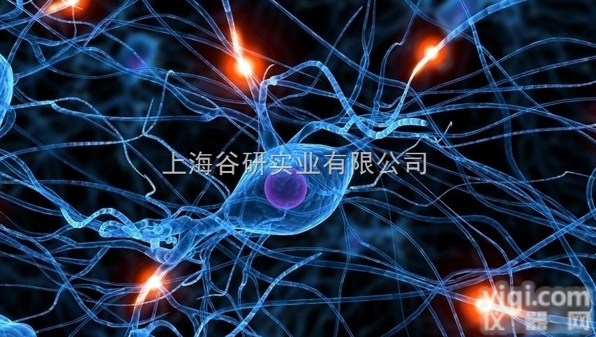 人<em>卵巢癌</em>多药<em>耐药</em><em>细胞</em>；SiHa/VP16培养