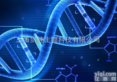 <em>上海</em>分子克隆与质粒载体<em>构建</em>实验<em>外包</em>