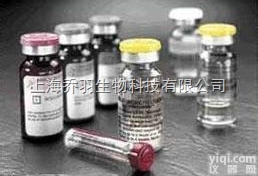 人骨胶原<em>交联</em>（Cr）ELISA检测<em>试剂盒</em>（兔子，大鼠，<em>小鼠</em>）