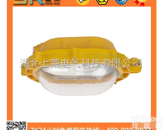SR301/BFC8120  SR301内场防爆<em>泛光灯</em>/BFC8120武汉<em>厂家</em>批发/<em>泛光灯</em>/防爆泛光...