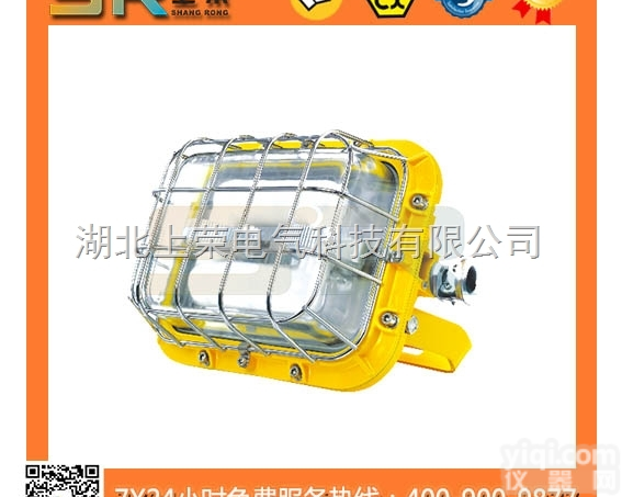 SR105  供应SR105免维护节能<em>防爆灯</em>/防爆<em>无极</em>灯/低频<em>无极</em>灯/武汉<em>无极</em>灯厂