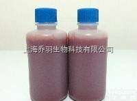 <em>抗A抗B血型定型试剂（单克隆抗体）</em>/抗A抗B 血清 试剂