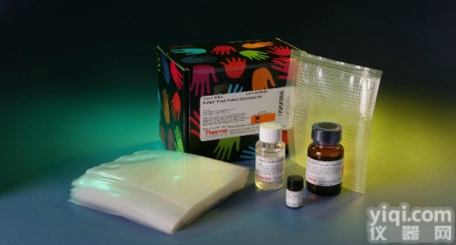 大鼠组织<em>因子</em>（<em>tissuefactor</em>,TF）ELISA<em>试剂盒</em>