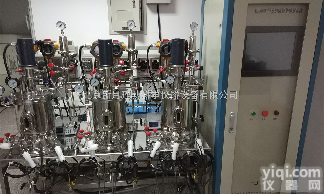 <em>3连5升不锈钢厌氧发酵罐</em>