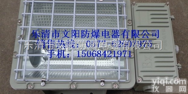 浙江BLF57-N250防爆泛光灯配<em>钠灯</em><em>灯泡</em>