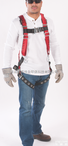 <em>TechnaCurv</em>  梅思安<em>安全带</em><em>TechnaCurv</em>