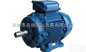 <em>德国</em>BLECHER<em>异步</em>电机