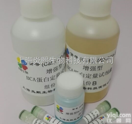 PD-BCA-E  增强型BCA蛋白<em>定量</em>试剂盒 <em>浓缩</em>型配方 能检测更低浓度的蛋白