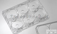 P06-10-0-N  6孔<em>小孔</em>玻底板（激光共聚焦专用<em>培养</em>板）共聚焦皿