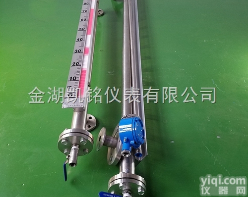 <em>防冻</em>液<em>储罐</em>液位计
