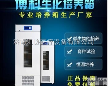 BJPX-150  150L微生物培养箱<em>生产</em>厂家（规格<em>种类齐全</em>）