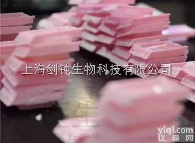 <em>上海</em>免疫<em>荧光</em>（单标和双标）实验<em>外包</em>