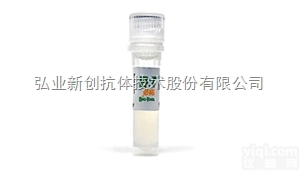 P06015B  细胞ZL因子：<em>重组</em>人<em>白介素</em>15（Recombinant <em>Human</em> I...