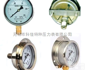 耐振<em>压力表</em>YN -60<em>量程</em>