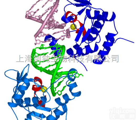 科研<em>课题</em>蛋白<em>技术服务</em>