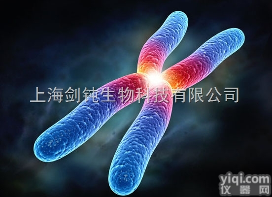 JRD717  <em>宏基因组</em><em>测序</em>分子服务