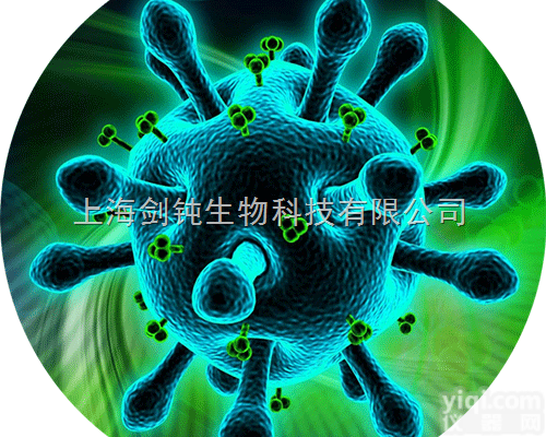 病毒包装<em>技术服务</em>实验<em>外包</em>