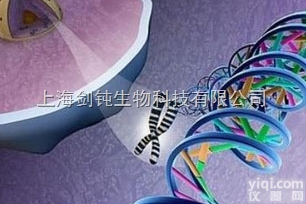 <em>转录组测序实验外包</em>服务