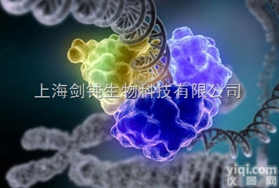 JRD730  lncRNA<em>测序</em>分子服务