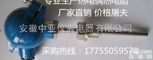 WRN2-233  <em>双支热电偶</em>WRN2-233铂铑热电偶厂家直销