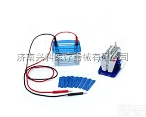 DYCZ-24DN垂直电泳槽<em>电泳仪</em>六一厂家<em>直销</em>