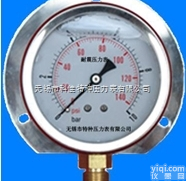 径向带边<em>压力表</em>Y-50/Y60/Y100/<em>Y150</em>Ⅵ