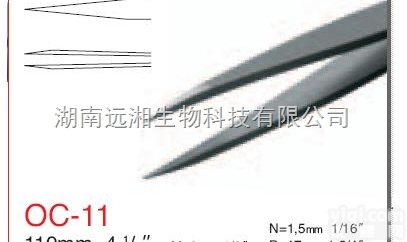 <em>rubis</em><em>镊子</em>SS-<em>SA</em> <em>rubis</em><em>镊子</em>OC-11-<em>SA</em> <em>rubis</em>代...