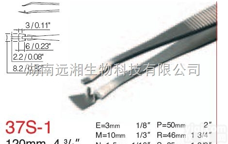 rubis<em>镊子</em>37S-1 rubis<em>镊子</em>37S-2 rubis<em>镊子</em>37...