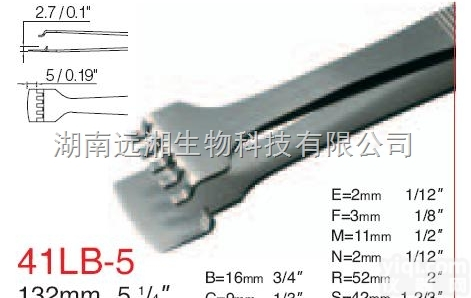 <em>rubis</em>晶圆<em>镊子</em>41LB-6-<em>SA</em> <em>rubis</em><em>镊子</em>41LB-8-<em>SA</em>...