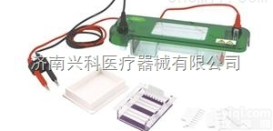 水平电泳槽君意东方JY-SPAT型<em>电泳仪</em>核酸电泳<em>分析</em>