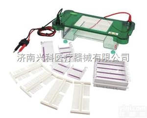 JY-SPCT  君意东方<em>琼脂</em>糖水平<em>电泳槽</em><em>电泳仪</em>一次注塑成型