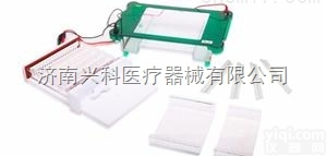 JY-SPGT  <em>琼脂</em>糖凝胶<em>电泳槽</em><em>电泳仪</em>销售