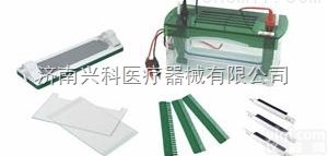 蛋白电泳仪<em>JY-CZ-B型垂直电泳槽</em>