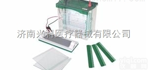 聚丙烯酰胺电泳槽<em>电泳仪</em>JY-CZ-BL型<em>大号</em>双垂直电泳槽