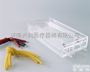 等电点<em>聚焦</em><em>电泳槽</em><em>电泳仪</em>DYCP-36冷却装置散热均匀