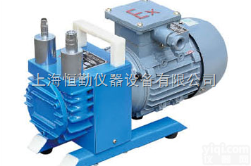 <em>防爆</em>无油<em>真空泵</em>WXF-1（<em>三相</em>）