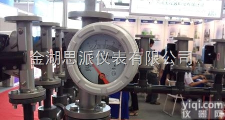 <em>卡箍式金属管浮子流量计</em>