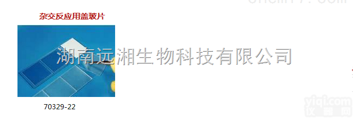 <em>杂交</em>反<em>应用</em>盖玻片