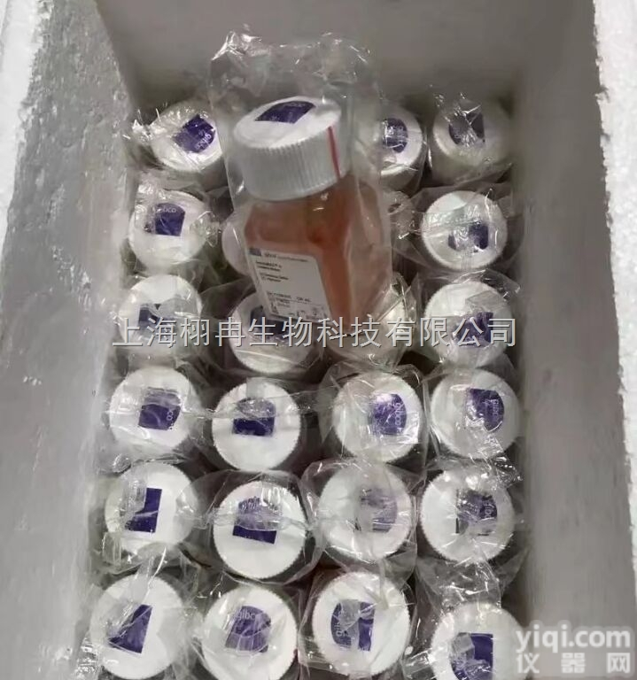 <em>GIBCO羊水培养基现货</em>200瓶货号11269016