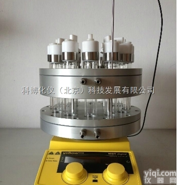 YZ  北京<em>平行</em><em>合成</em>反应仪，<em>多功能</em><em>平行</em><em>合成</em>反应仪，<em>平行</em>反应仪厂家