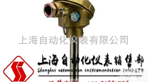 <em>WRN</em>-<em>130</em><em>热电偶</em>  上海自动化仪表三厂 <em>WRN</em>-<em>130</em><em>热电偶</em>