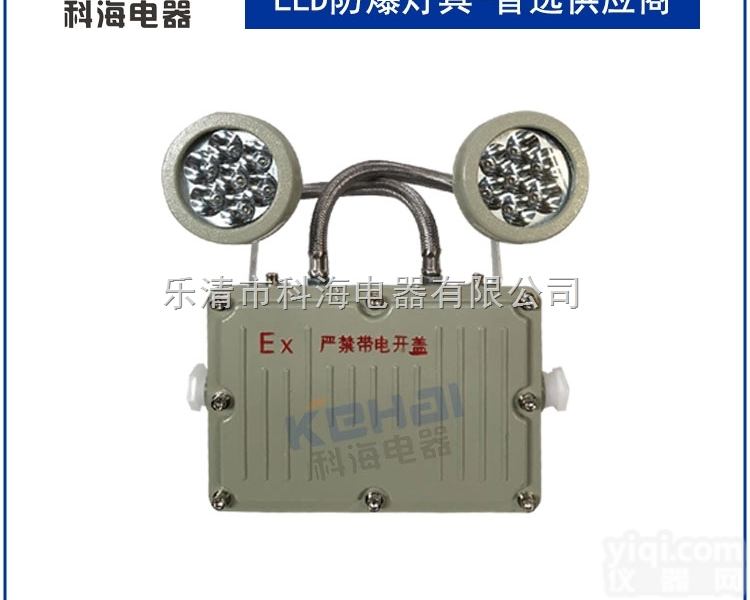 BAJ52  防爆应急灯，<em>LED</em><em>防爆灯</em>具，专业<em>厂家</em>批发销售