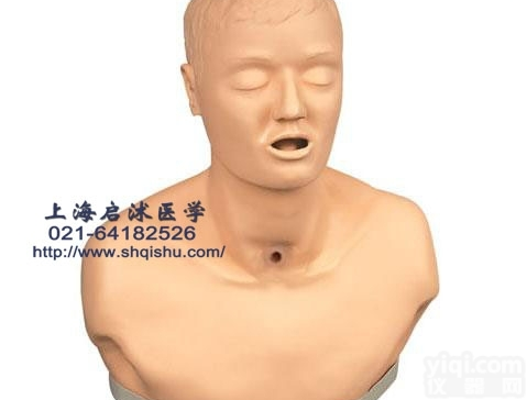 QS/H23  高级成人<em>气管</em>切开<em>护理模型</em> <em>气管</em>切开<em>护理模型</em>