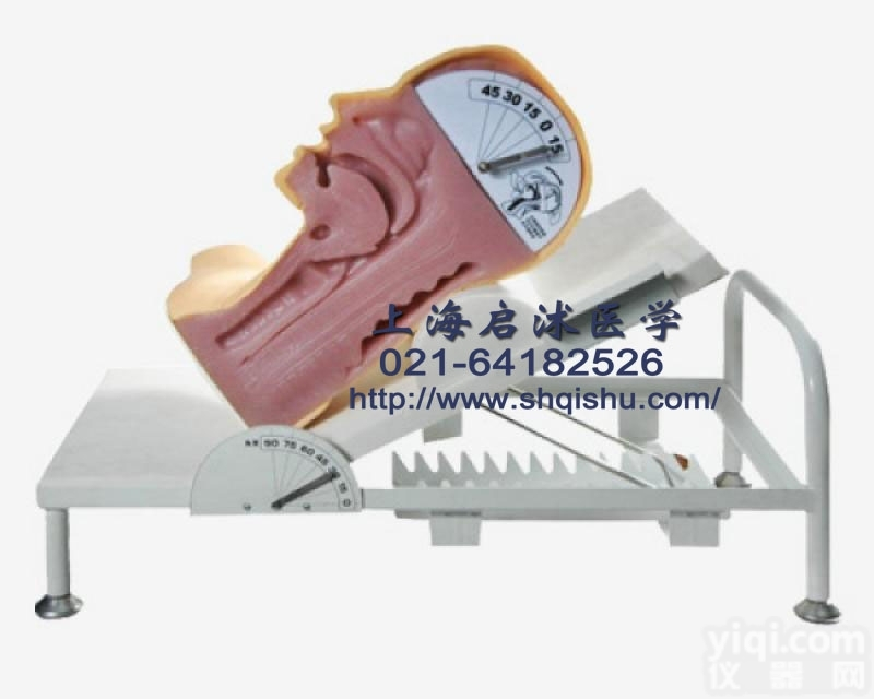 QS/H88  高级<em>吞咽</em>机制模型 <em>吞咽</em>机制护理模型