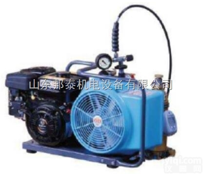 JuniorII  BAUER进口空气压缩机<em>原装</em><em>现货</em>代理商<em>直销</em>