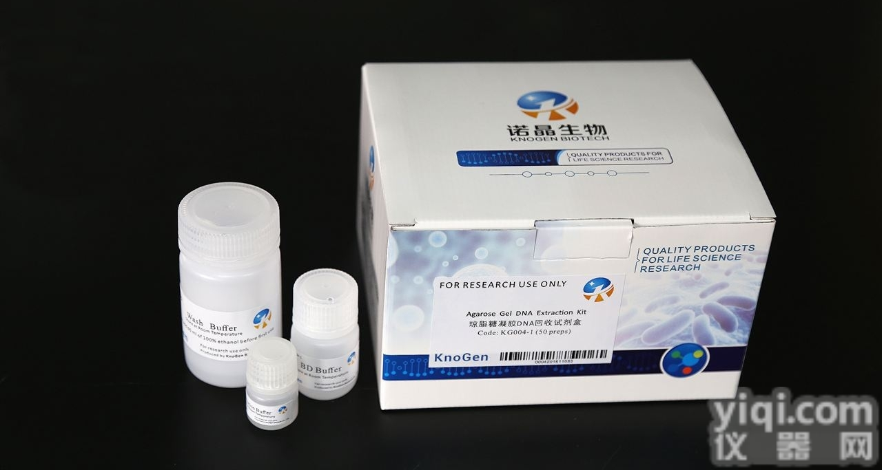 KG004-1  胶<em>回收</em>DNA<em>纯化</em>试剂盒