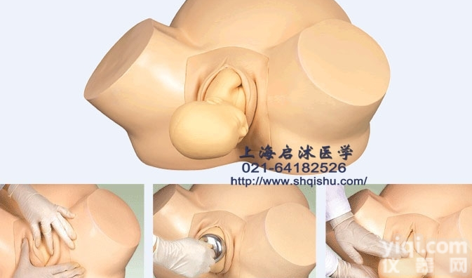QS/F8  高级<em>助产</em><em>训练</em><em>模型</em> 妇科<em>模型</em>