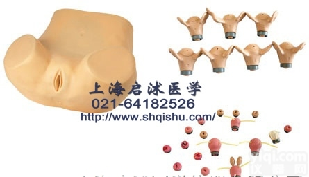 QS/F35  高级妇科综合检查训练<em>模型</em> <em>妇科检查</em><em>模型</em>