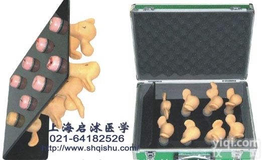 QS/ZG  高级<em>子宫</em>宫颈病变模型（8件）<em>子宫</em>模具