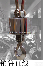 OCS  天津无线<em>吊秤</em>无线<em>吊秤</em><em>用途</em>